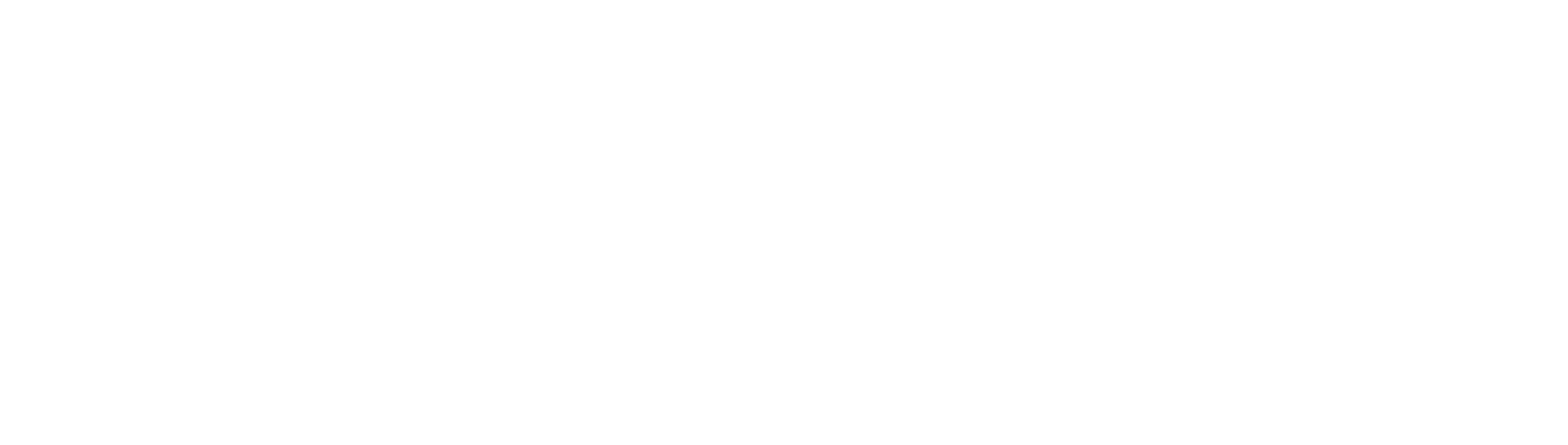 Wayve_White_Logo
